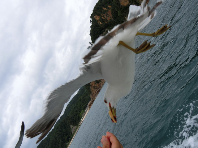 20190712_162314_CIMG2653