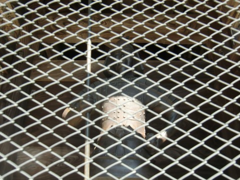 20160211_113325_CIMG6257