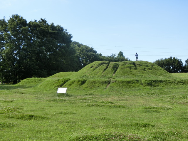 20200620_152617_CIMG9763