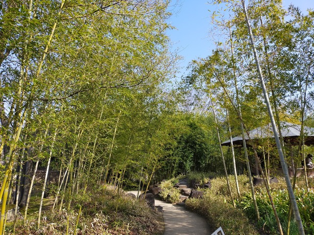 IMG20210310150654
