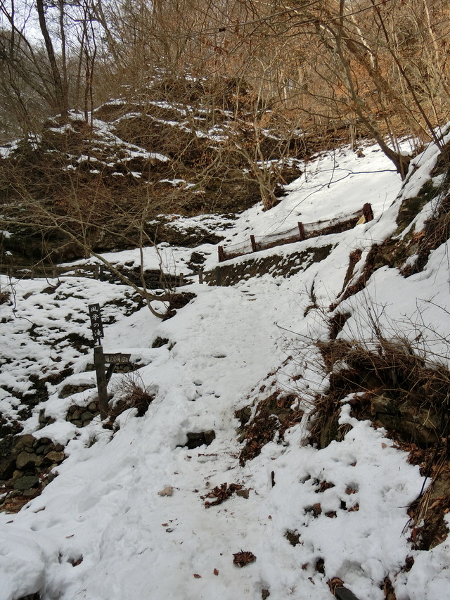 20180225_101005_CIMG8323