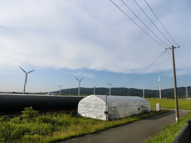 20190713_172725_CIMG2943