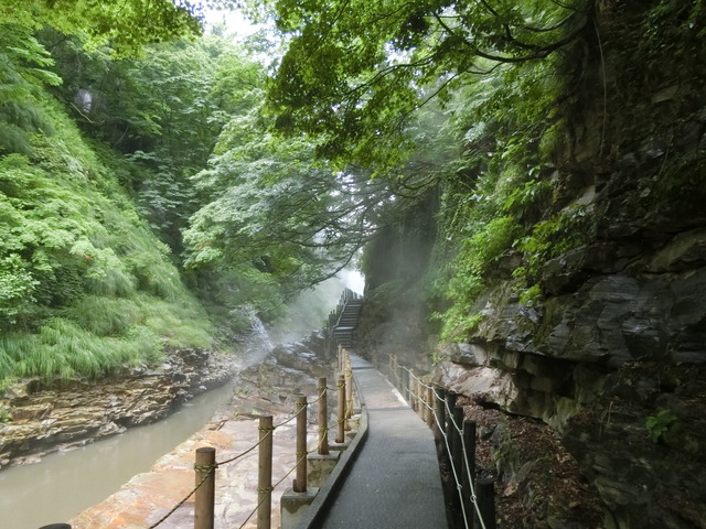 20190718_164416_CIMG4491