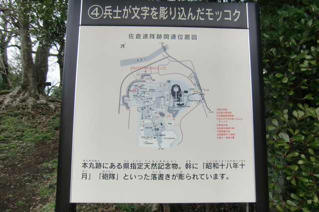 20170401_141126_CIMG7580