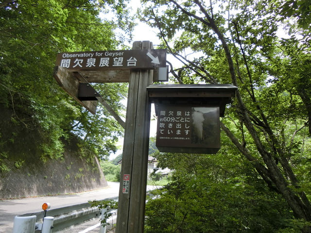 20190811_114741_CIMG4869