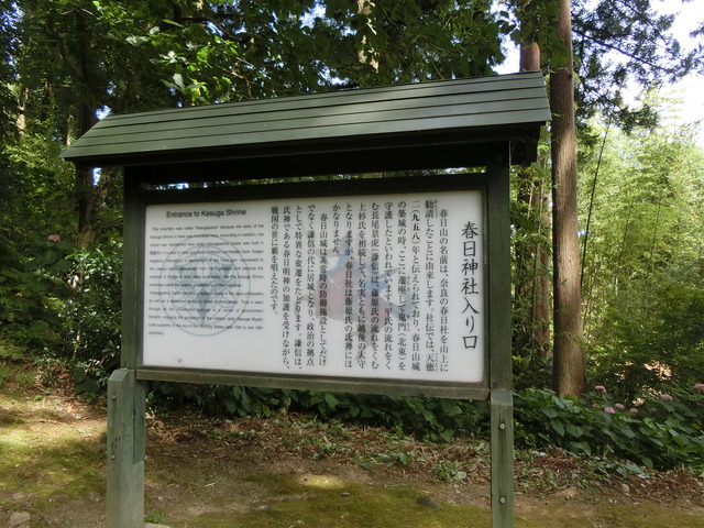 20180728_130341_CIMG1398