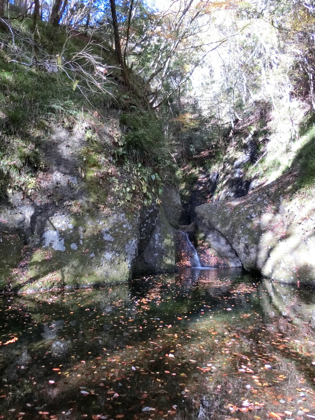 20201114_094231_CIMG4190