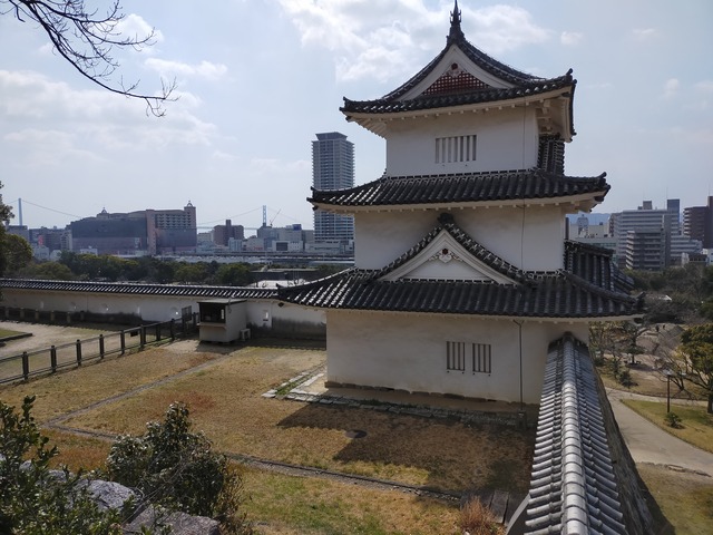 IMG20210310110535