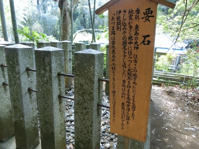 CIMG0176 (1)