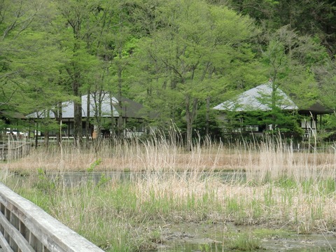 20120610_120429_CIMG0986