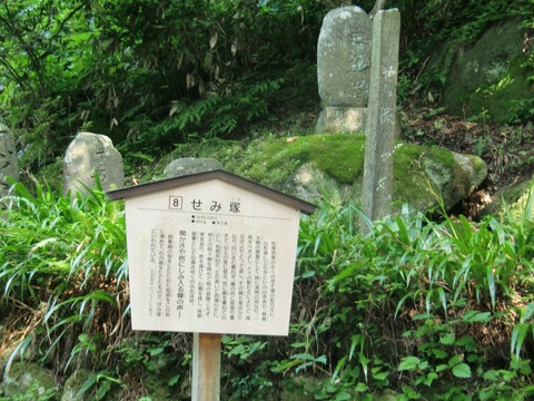 20130814_080157_CIMG2269