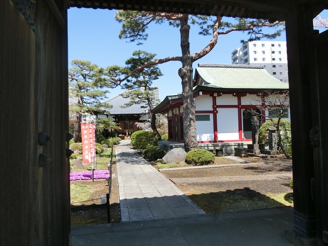 20190413_111547_CIMG8199