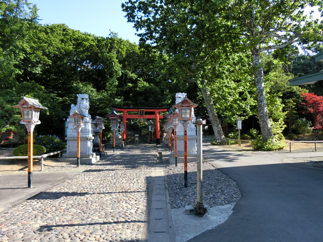 20190716_160951_CIMG3956