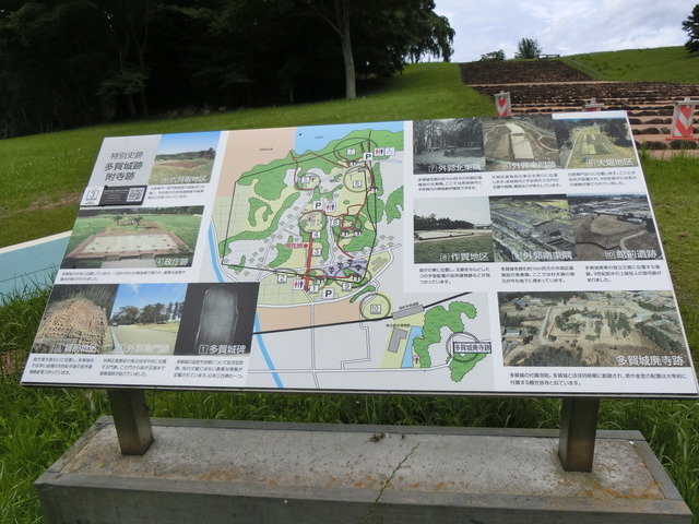 20190719_125242_CIMG4637