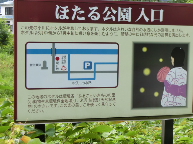 19 7 11 木 小野川町ほたる公園 山形県 ウシ子とウシ夫の牛歩旅 19 7 11 木 小野川町ほたる公園 山形県 ウシ子とウシ夫の牛歩旅