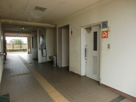 20170326_122144_CIMG7298