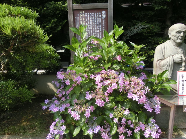 20180609_143418_CIMG0364