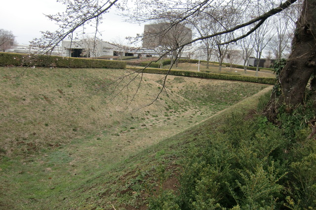 20170401_142814_CIMG7606