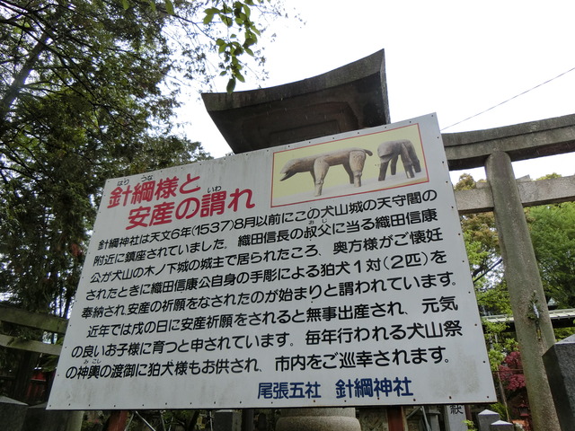20190501_141956_CIMG0254