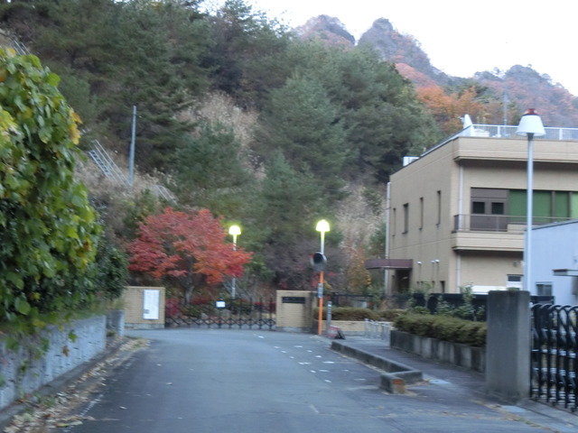 20181123_164047_CIMG4154