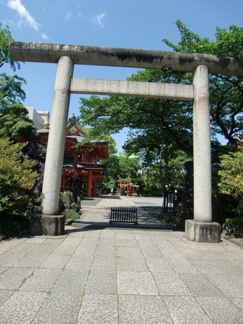 20140518_101225_CIMG2993