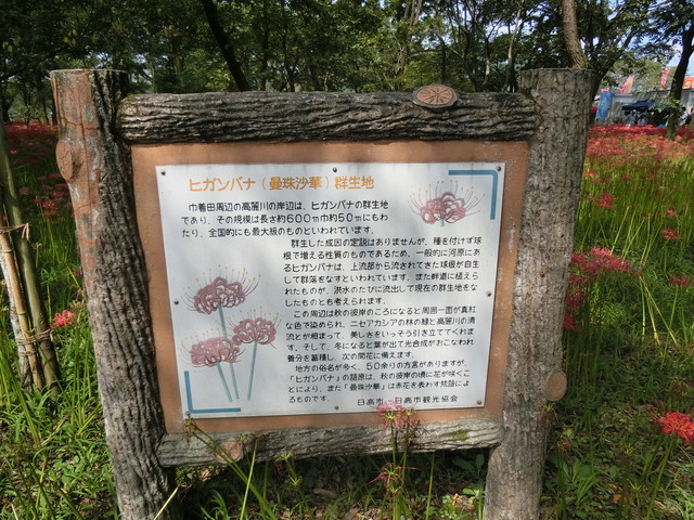20170924_110407_CIMG5047