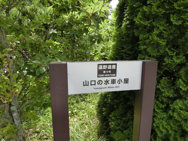 20190718_103910_CIMG4435