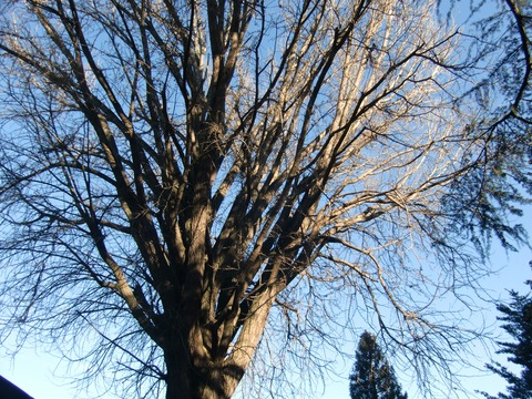 20161218_143524_CIMG2327