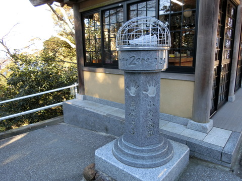 CIMG7723
