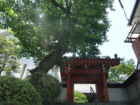 20160618_114419_CIMG7380