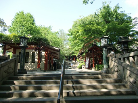 20130427_142909_CIMG1606