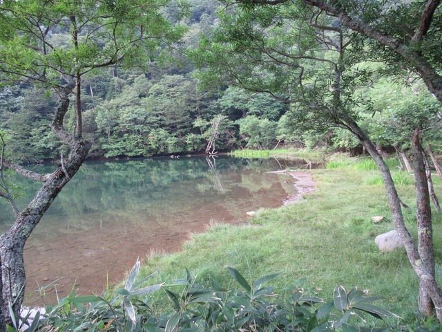 20190812054958_IMG_3572