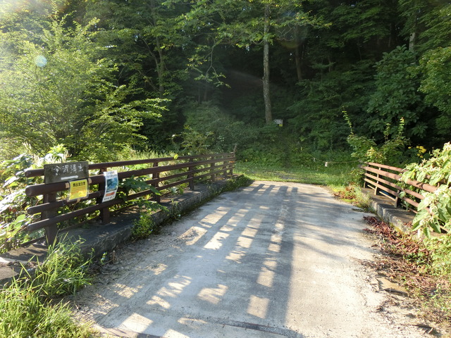 20200821_065406_CIMG3277