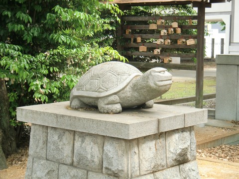 20130519_122951_CIMG1686