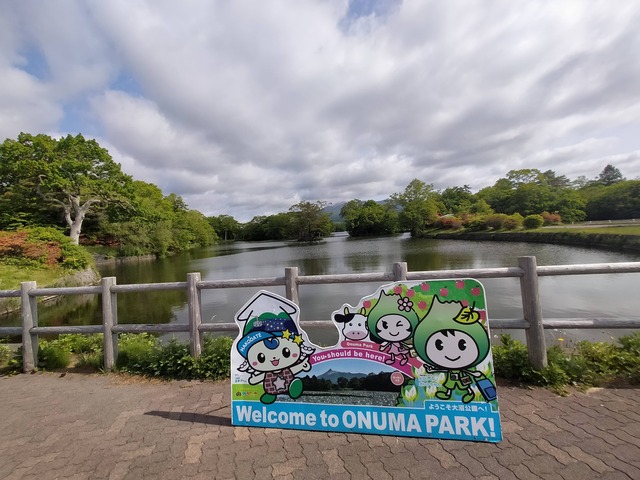 2025/6/2(月)大沼国定公園 北海道 : ウシ子とウシ夫の牛歩旅