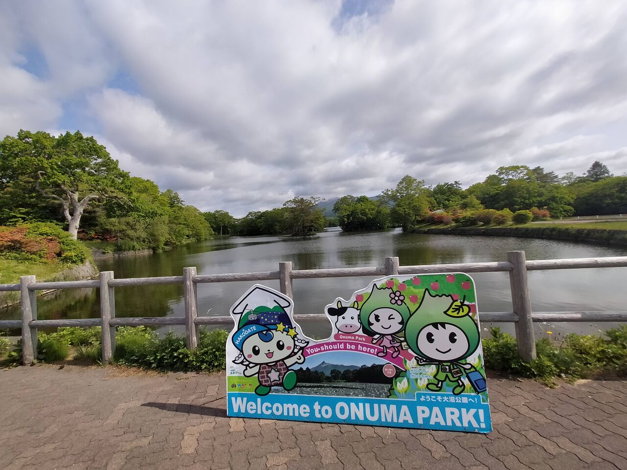 2025/6/2(月)大沼国定公園 北海道 : ウシ子とウシ夫の牛歩旅