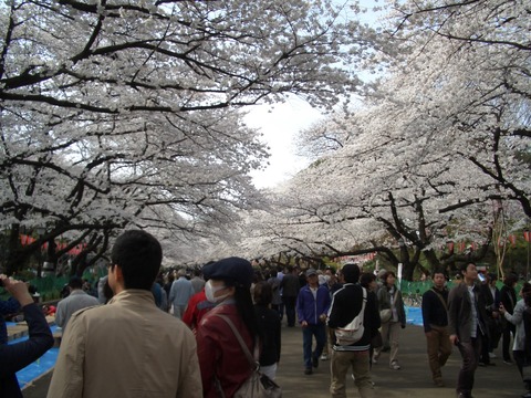 20130323_094359_CIMG3214