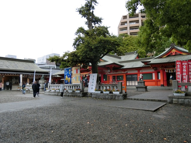 20190501_120951_CIMG0224
