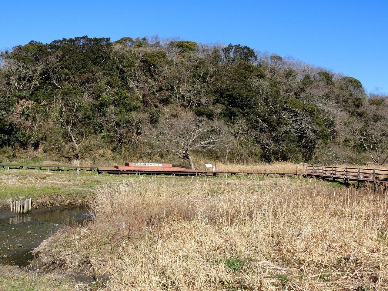 2 09 日 小網代の森えのきテラス 神奈川県 ウシ子とウシ夫の牛歩旅