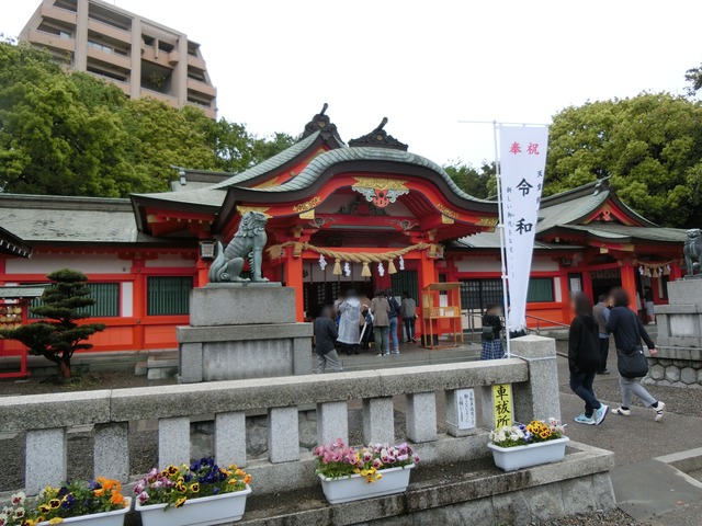 20190501_120438_CIMG0219