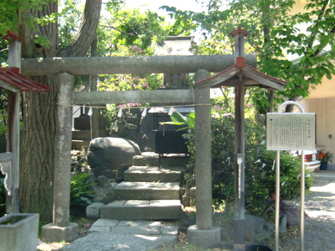 20130427_123059_CIMG1595
