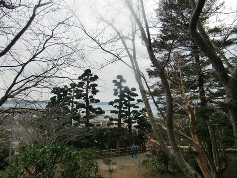 20170218_151549_CIMG5032