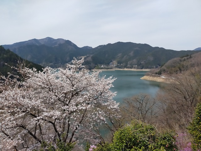 IMG20210327120909
