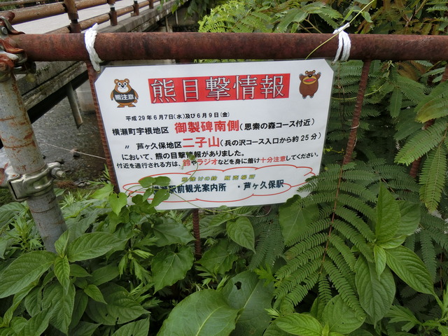 20170730_130755_CIMG1278