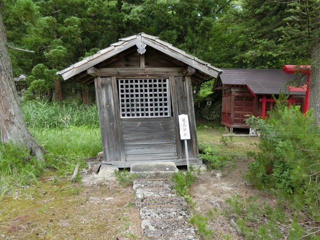 20190711_143225_CIMG2209