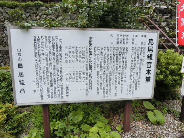 20170730_111155_CIMG1170