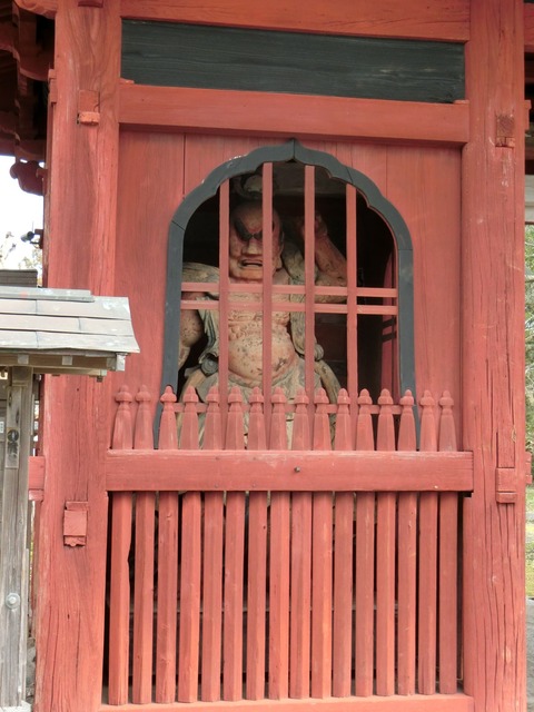 CIMG0195