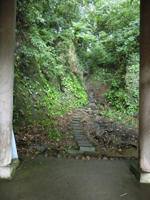 CIMG3137