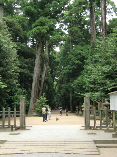 20120722_134424_CIMG1066