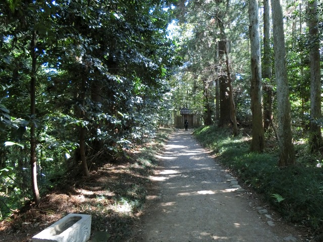 CIMG0184 (1)